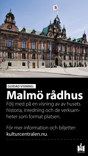 Visning av Malmö rådhus