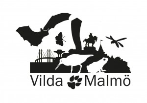 Malmö Stad - Vilda Malmö