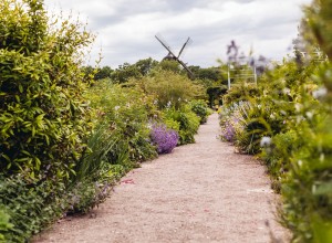 Guidad tur på Slottsträdgården